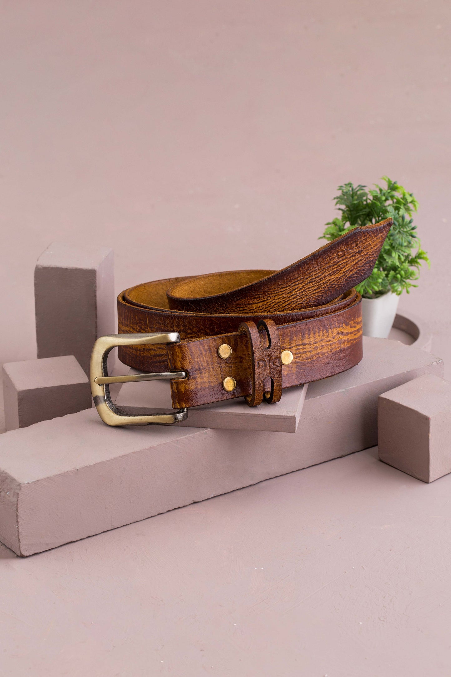 Belt Photography