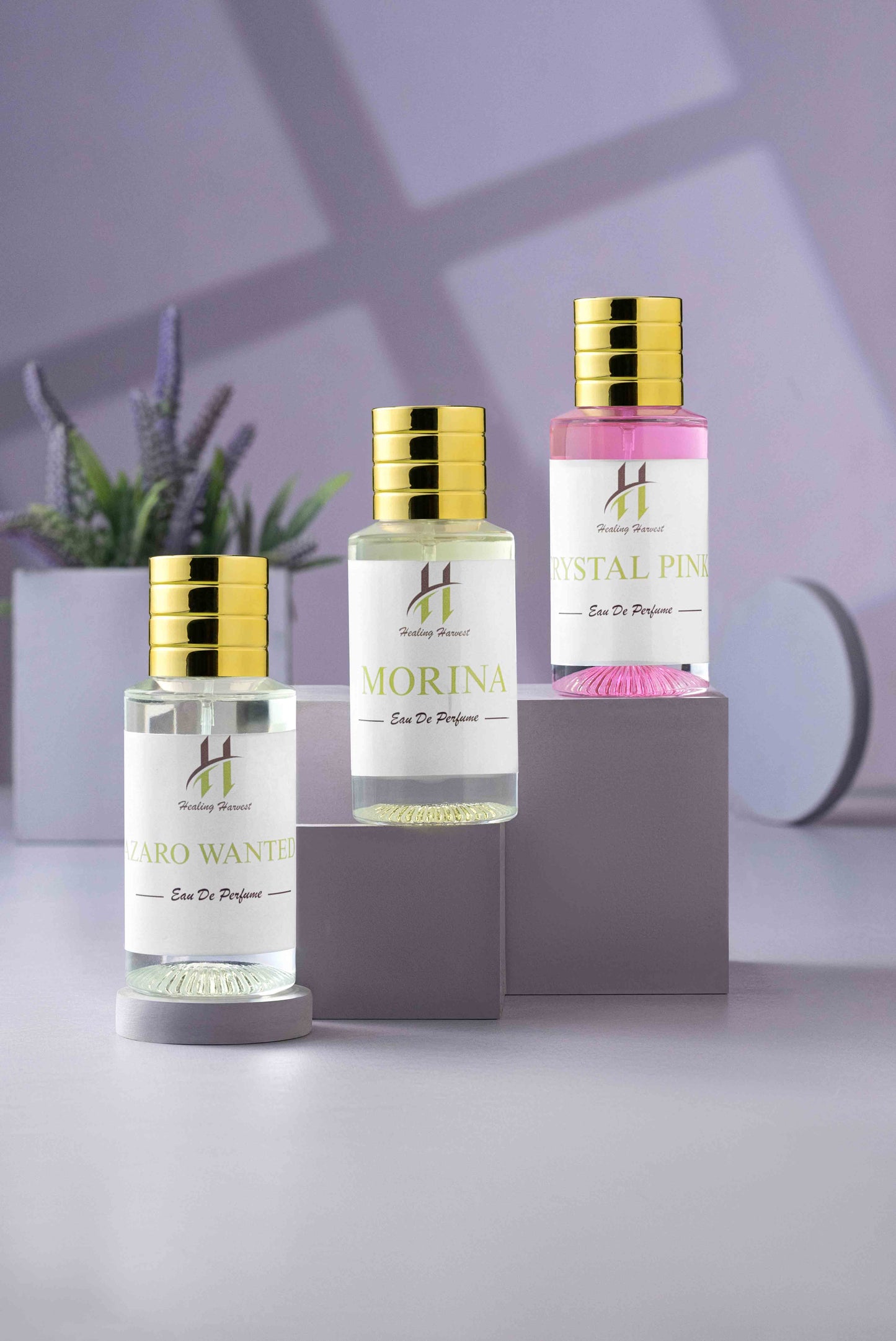 Product Group Images